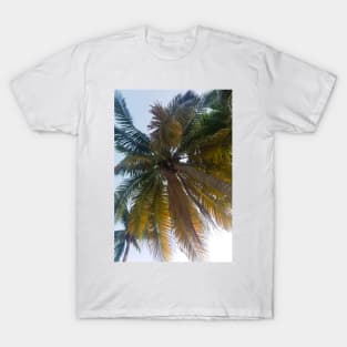 Palm Tree T-Shirt